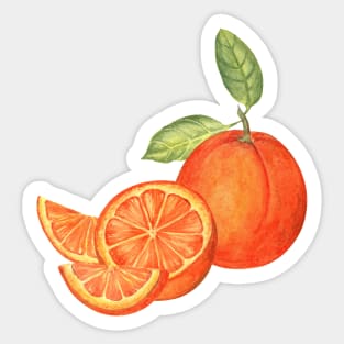 Juicy oranges Sticker